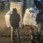 Aseguran más de 13 toneladas y 13 mil 400 litros de precursores ...